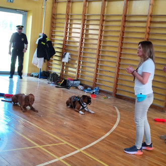 Psy czekają na komendę swoich włascicielki