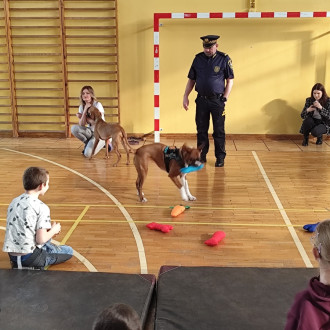 Strażnik Miejski  i psy 