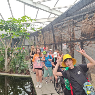 dzieci przechodzą przez kładkę w zoo