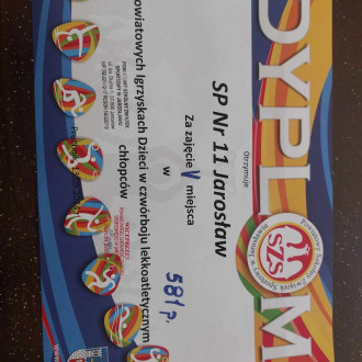 Dyplomy dla reprezentacji